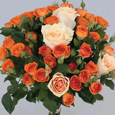 Orange & Peach Spray Roses Bouquet